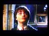 harry.jpg